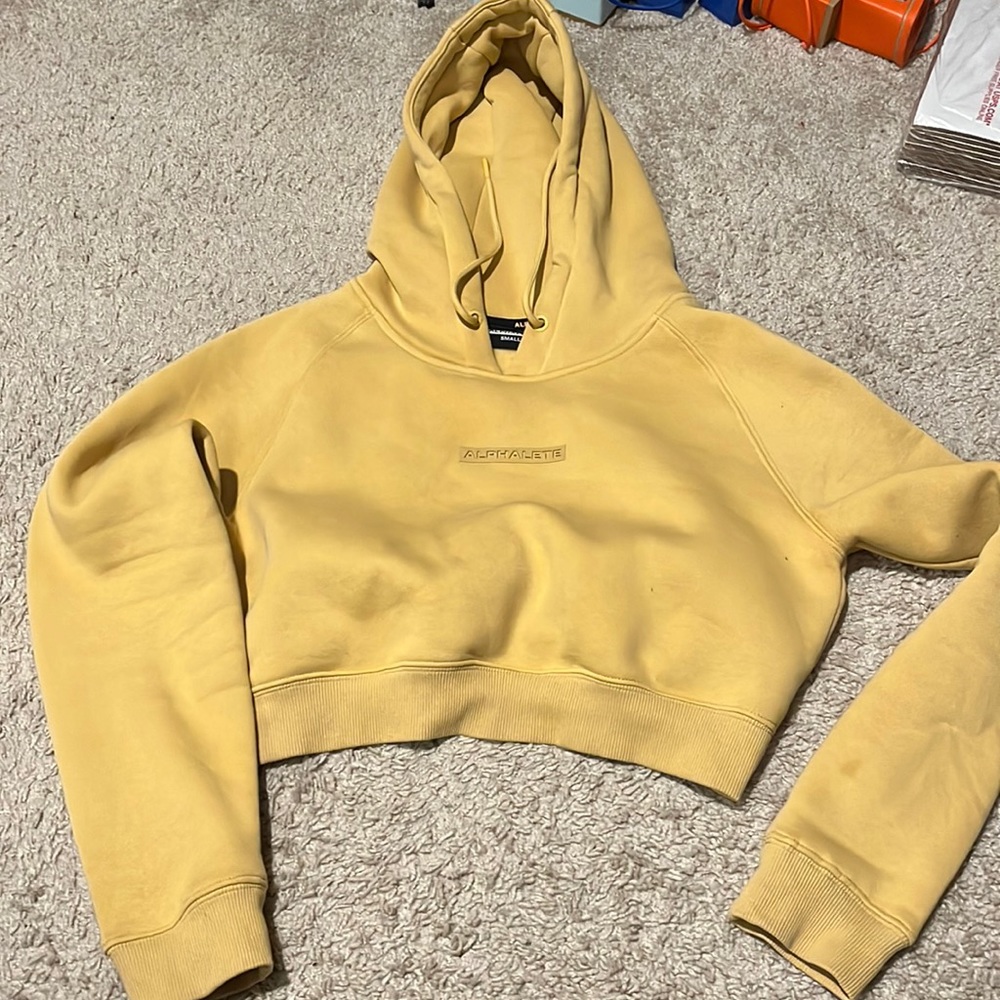 Alphalete crop hoodie